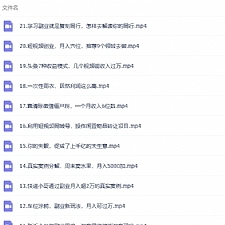 张磊21堂副业培训课：让小白学会副业赚钱，通俗易懂简单易上手